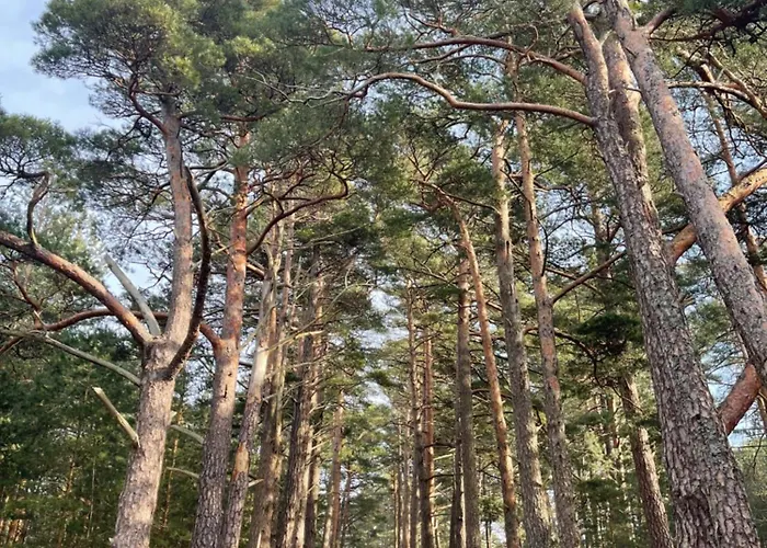 Luxury Sarli Nemirsetos Parke Apartment